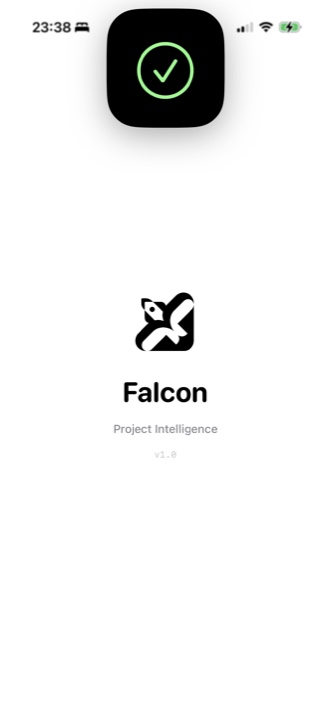 Falcon screenshot